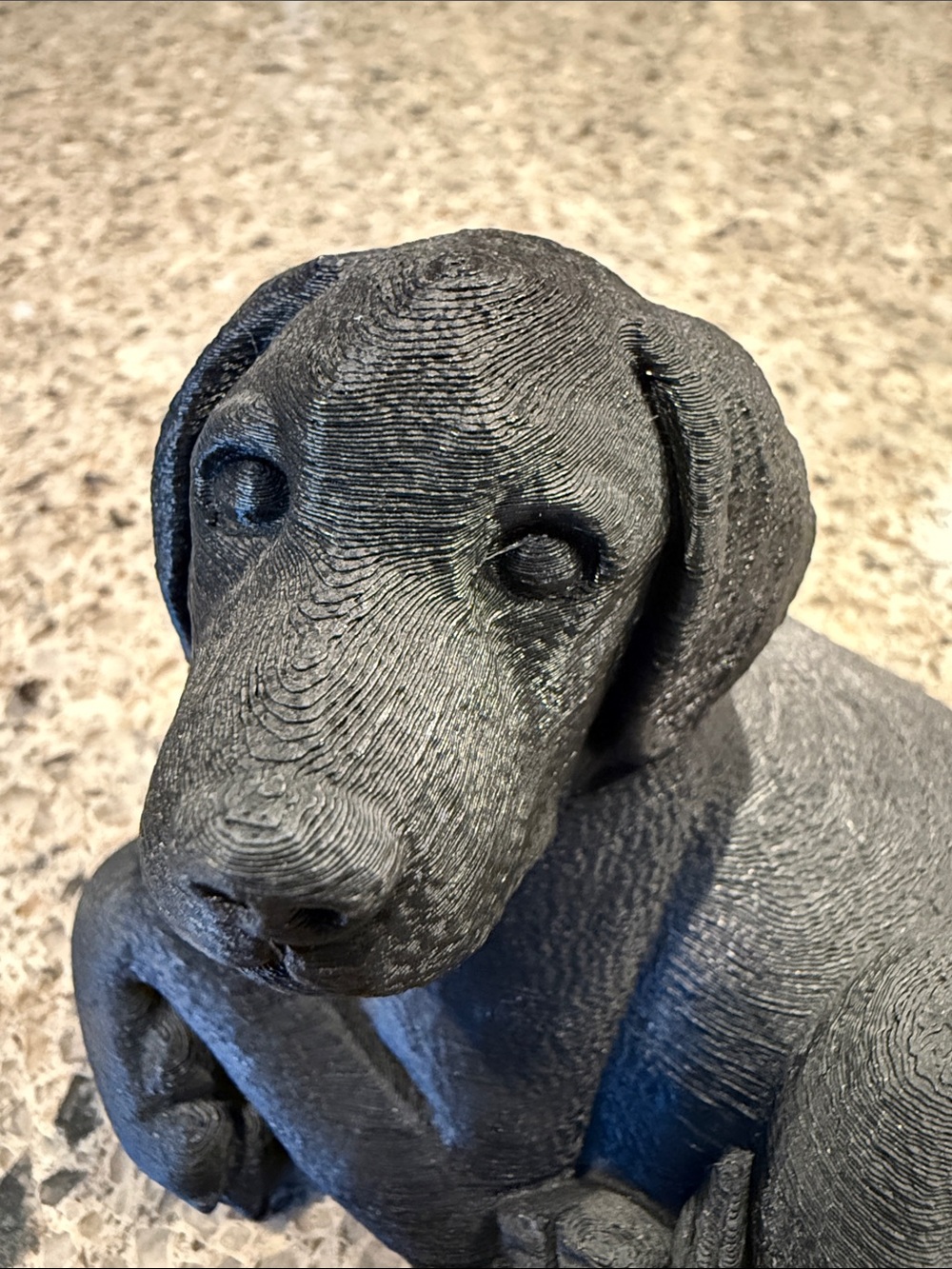 Black Labrador Retriever Decorative Dog 3D Printed Figurine - Cake Topper - Picture 2 of 12